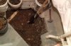 bath1.JPG bath1.JPG