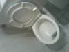 reverse flush toilet.jpg reverse flush toilet.jpg