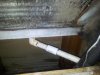 IMG_20130812_200056.jpg