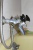 Peppers and shower faucet 003.jpg