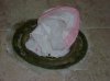 DSC03346.jpg