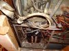 DSC00056.JPG