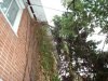 DSC00073.JPG