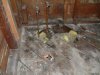 Subfloor2.jpg