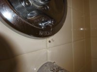 Delta shower diverter knob leak - can water leak into wall cavity