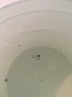 image.jpeg image.jpeg