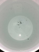 image.jpeg image.jpeg