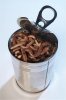 iStock_can of worms.jpg