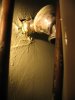 IMG_2388 (Large).jpg