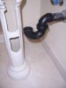 drain pipe and base.jpg