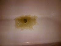 Fiberglass 1.jpg