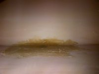 Fiberglass 2.jpg
