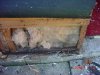 rotted wood beside old door.jpg