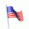 USAflag.gif