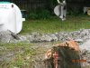 septic2.jpg