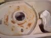 toilet1.jpg