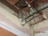 bathroom renovation and Cats hunting 037.jpg
