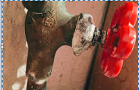valve.png