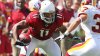 nfl_g_fitzgerald_576.jpg