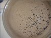 Sediment.jpg