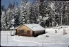 cabin4.jpg