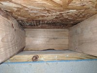 rim joist 1.jpg