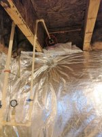 Hose bib leaks inside home | Terry Love Plumbing Advice & Remodel DIY