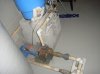 DSC00503.jpg