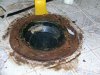 DSCN5123.jpg