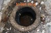 6466_toilet_ring.jpg