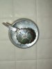 DSC01341.jpg