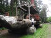 mason_skidder.jpg