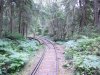 train_track.jpg