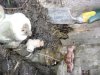 water leak 004.jpg