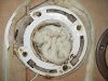 Toilet Flange.jpg