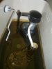toilet.jpg