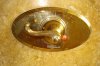 DSC01336.jpg