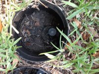 sprinkler valve 1.jpg