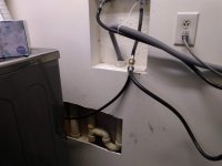 IMG_20200909_105901570.jpg
