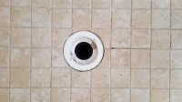 shower drain.jpg