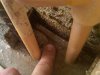 IMG00022-20091216-1614.jpg
