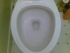 01152007.jpg