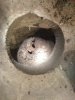 Shower Drain.jpg