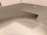 IMG_3129_(Medium).jpeg