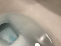 IMG_3130_(Medium).jpeg