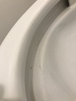 IMG_3131_(Medium).jpeg