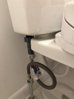 IMG_3134_(Medium).jpeg