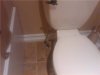 toiletwater.jpg