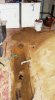 Perspective_dig_2.jpg
