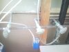 SNC00092..jpg